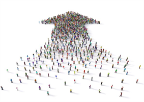 Image for The Role of Member Experience in DB Scheme Success pension funds