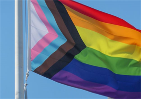 Image for Have you checked the “true colours” behind your rules?