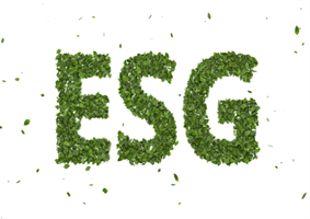 Image for The evolution of ESG investing